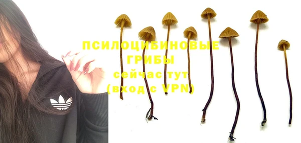 экстази Володарск