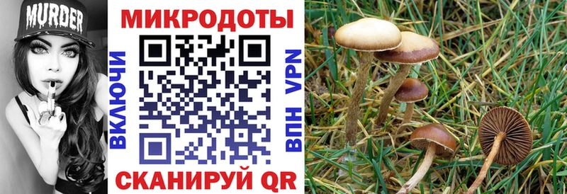 Псилоцибиновые грибы Magic Shrooms  Малаховка 